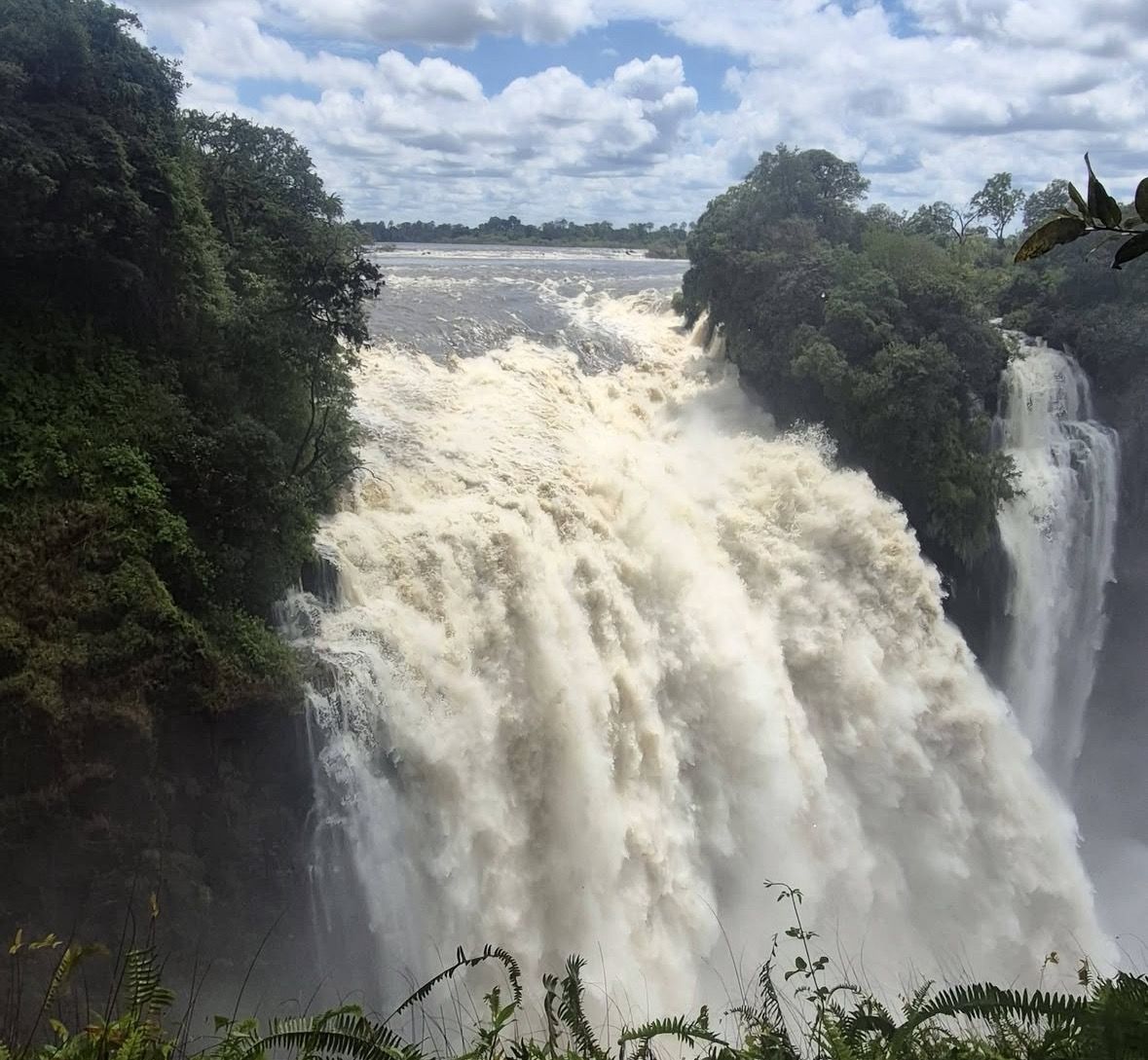 Chobe Day Trip From Victoria Falls Zimbabwe